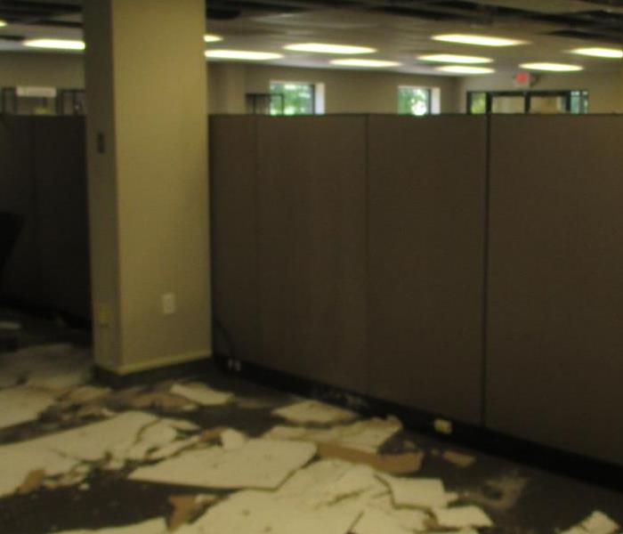 Canton business with ceiling tiles fallen from above and scattered about the flooring and work cubicles